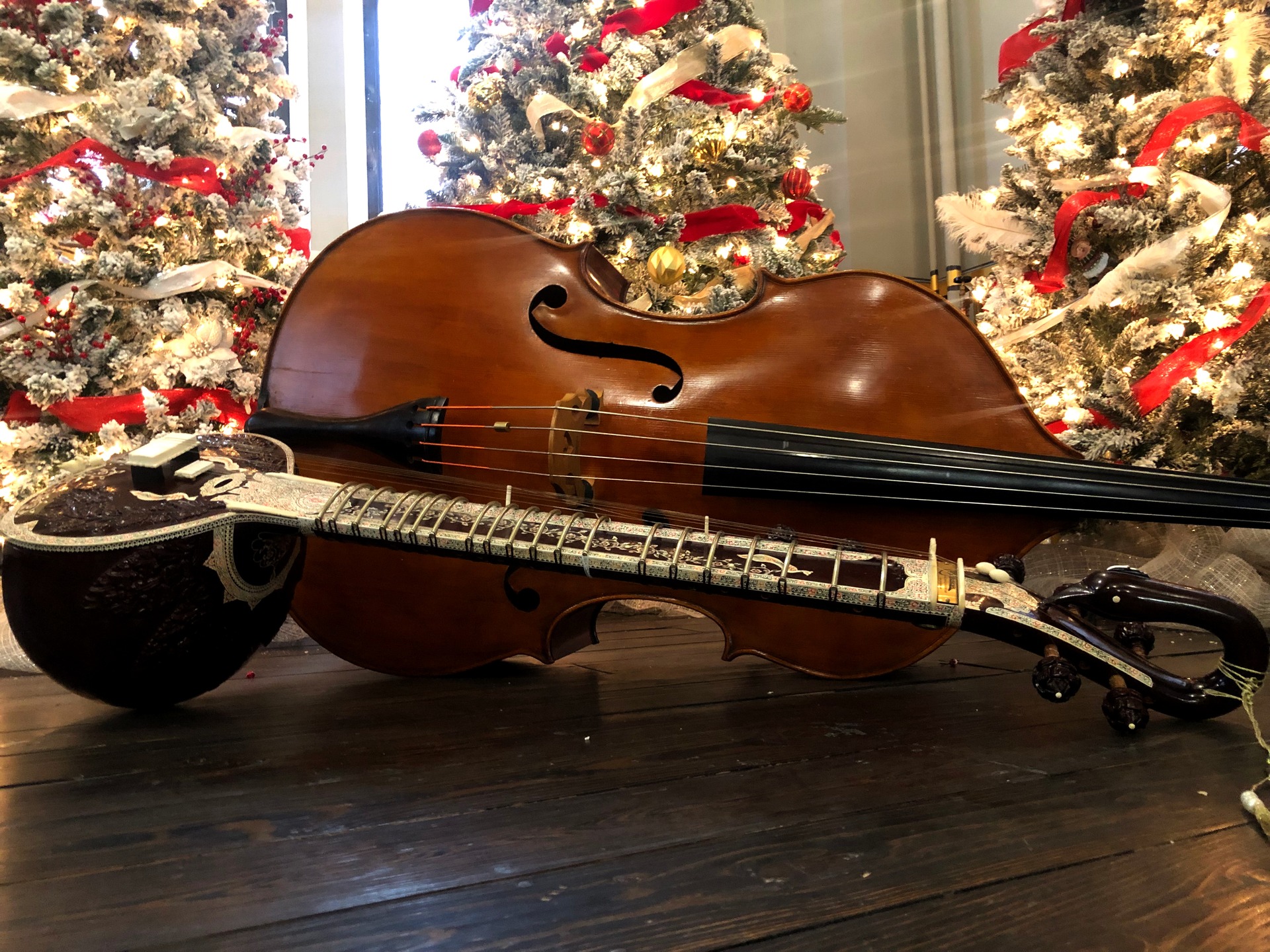 Our Meena wanted a picture of her sitar next to Angela's bass after rehearsal last Sunday!

Here's a festive little photo of both instruments in front of the Christmas decorations at our new rehearsal space, the lobby of the World Affairs Council of Kentucky and Southern Indiana!

Photo by Jon Silpayamanant

#Louisville #Sitar #Bass #StringInstruments #ChristmasTrees #AfterRehearsal